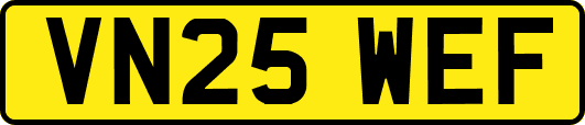 VN25WEF