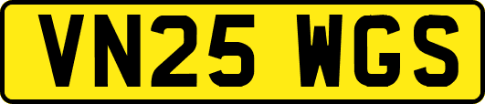 VN25WGS