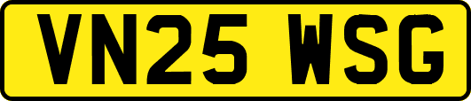 VN25WSG