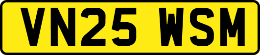 VN25WSM