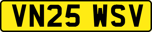 VN25WSV
