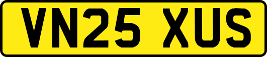 VN25XUS