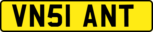 VN51ANT