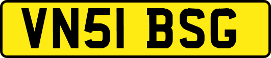 VN51BSG