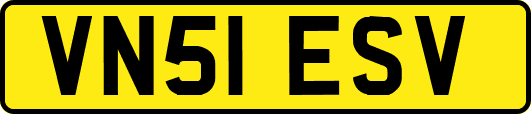 VN51ESV