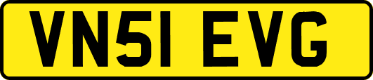 VN51EVG