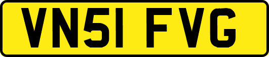 VN51FVG