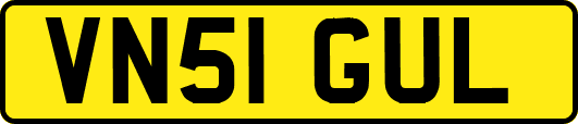 VN51GUL