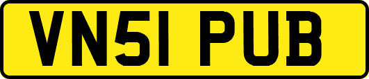 VN51PUB