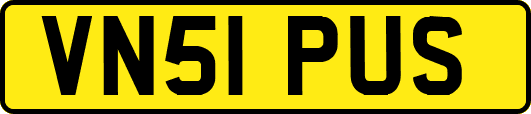 VN51PUS