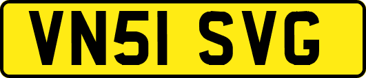 VN51SVG