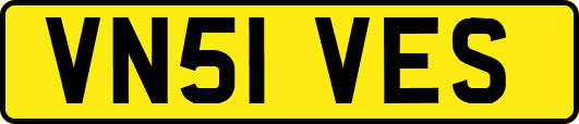 VN51VES