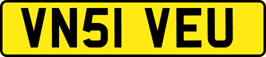 VN51VEU