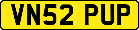 VN52PUP
