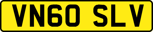 VN60SLV