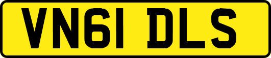 VN61DLS