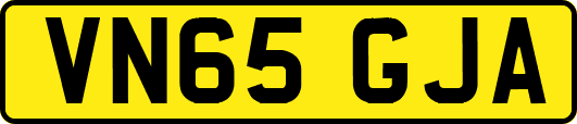 VN65GJA