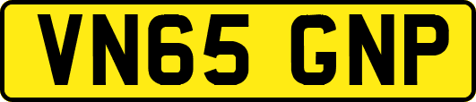 VN65GNP