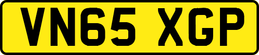 VN65XGP