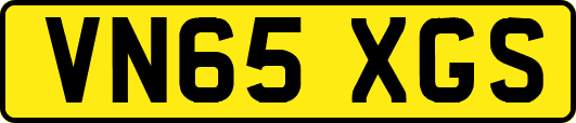 VN65XGS