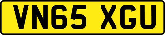VN65XGU