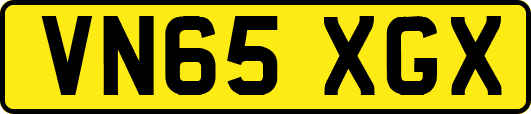 VN65XGX