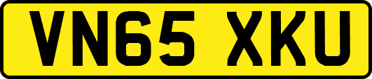VN65XKU