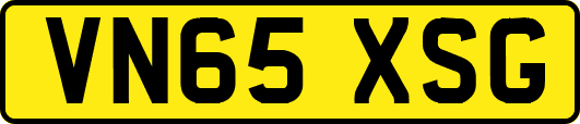 VN65XSG