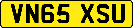 VN65XSU