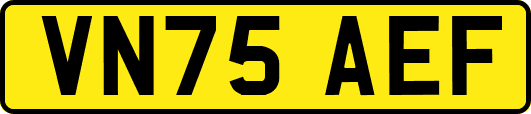 VN75AEF