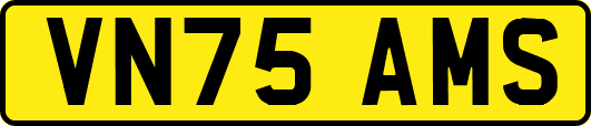 VN75AMS