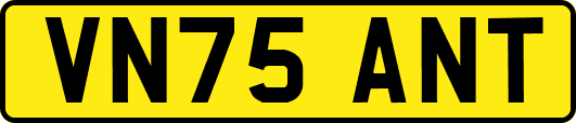 VN75ANT