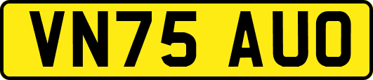 VN75AUO
