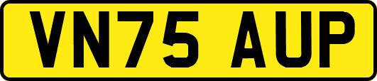 VN75AUP