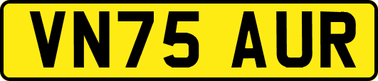 VN75AUR