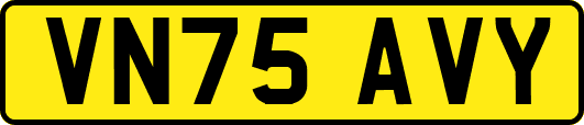 VN75AVY