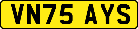 VN75AYS