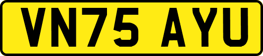 VN75AYU