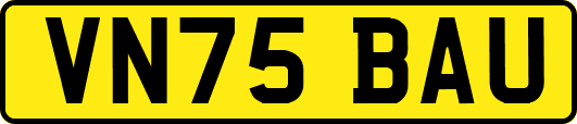 VN75BAU
