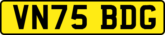 VN75BDG