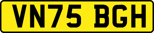 VN75BGH