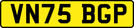 VN75BGP