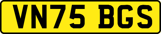 VN75BGS