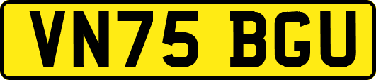 VN75BGU