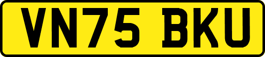 VN75BKU
