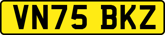 VN75BKZ