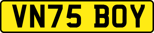 VN75BOY