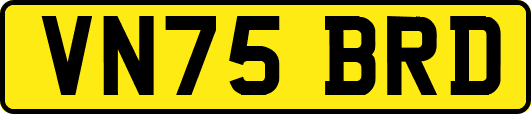VN75BRD