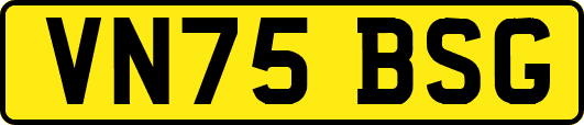 VN75BSG
