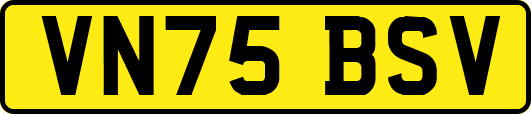 VN75BSV